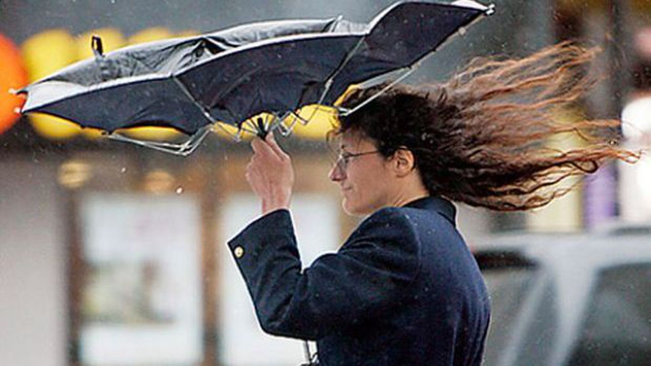 vant_puternic_67006800