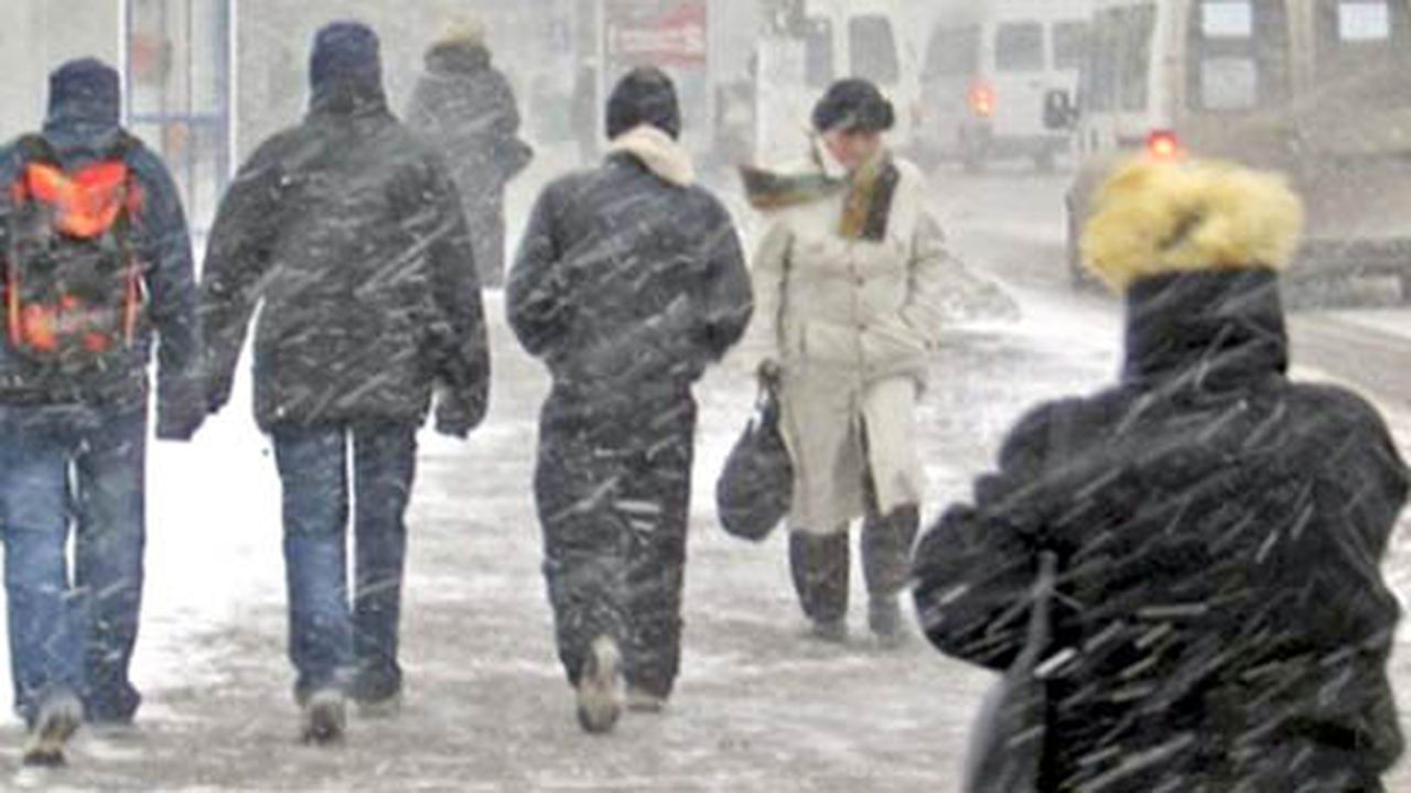 avetizare_de_viscol_62345500