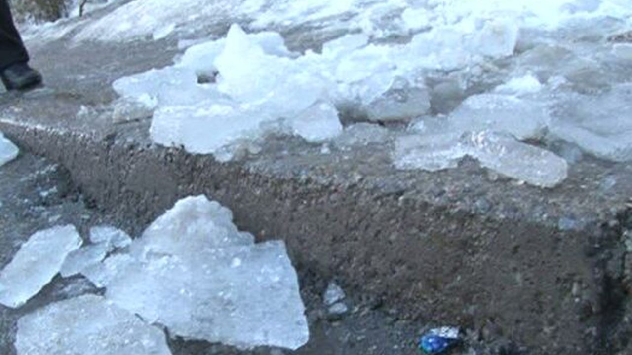 gheata_in_cap_83076200