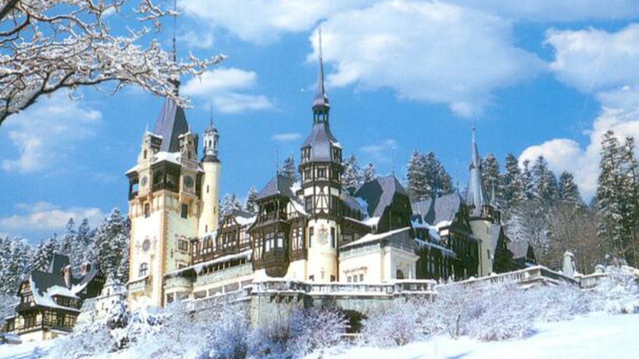 pelesul_iarna_84122200