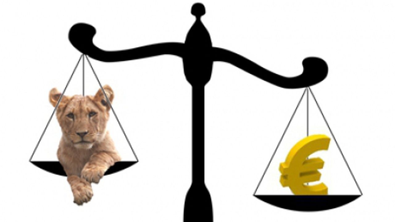 curs_leu_euro_09355800