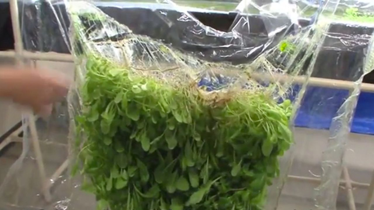 filmfarming1_64114900