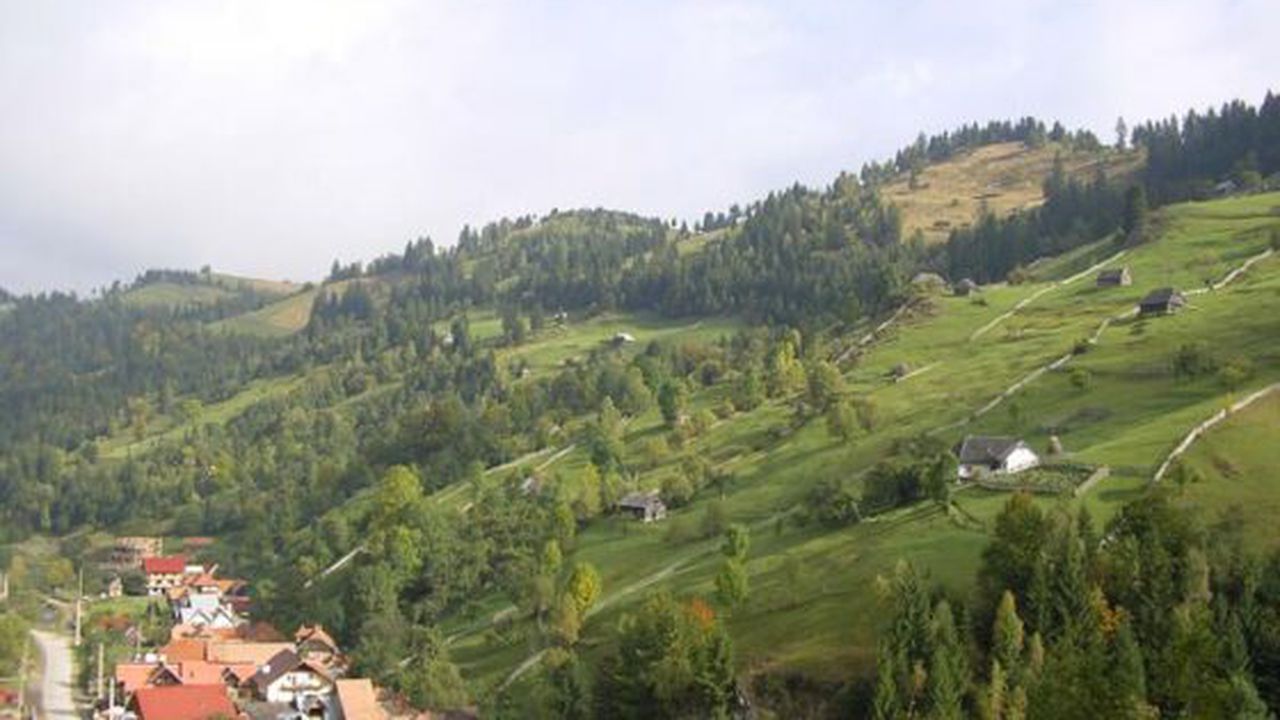 moeciu_de_sus_99281300