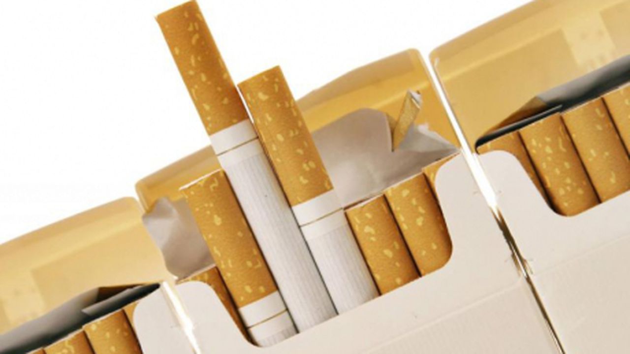 tigari_83488600_78306300