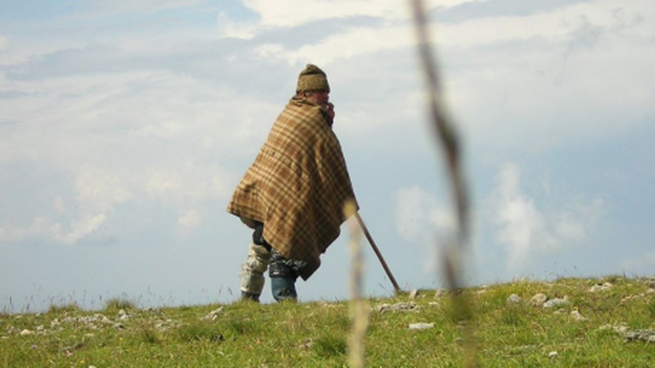 cioban_54623000_94949400