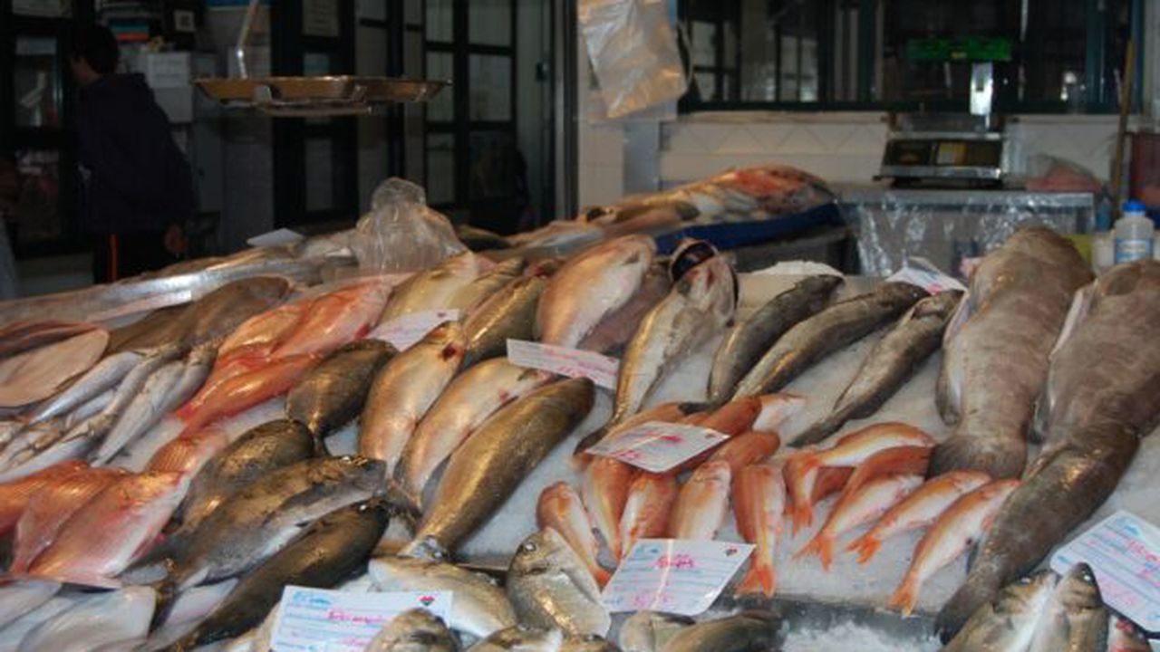 peste_piata_pesti_81049500