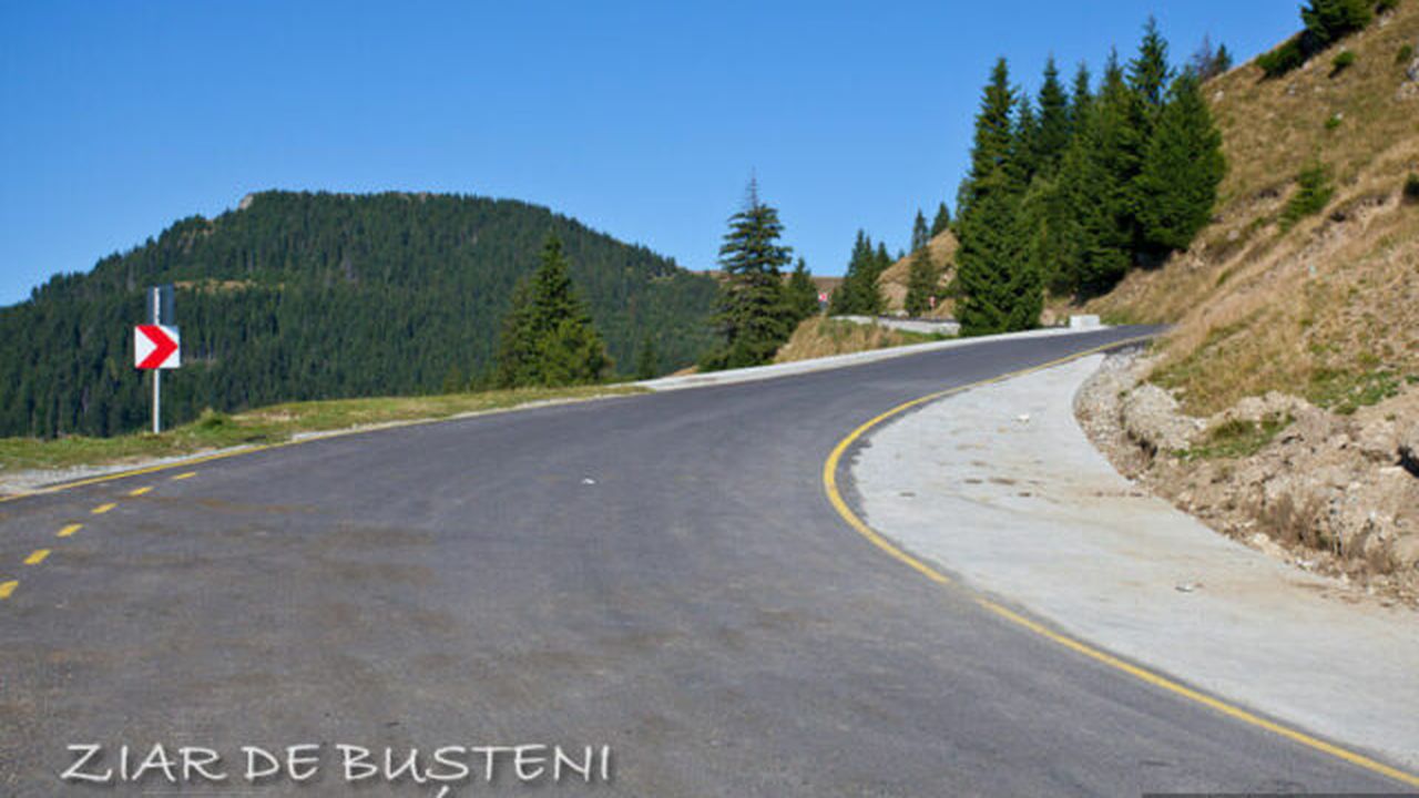 transbucegi3_72592900