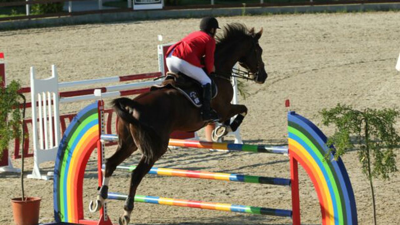 clubequestria1_06316100