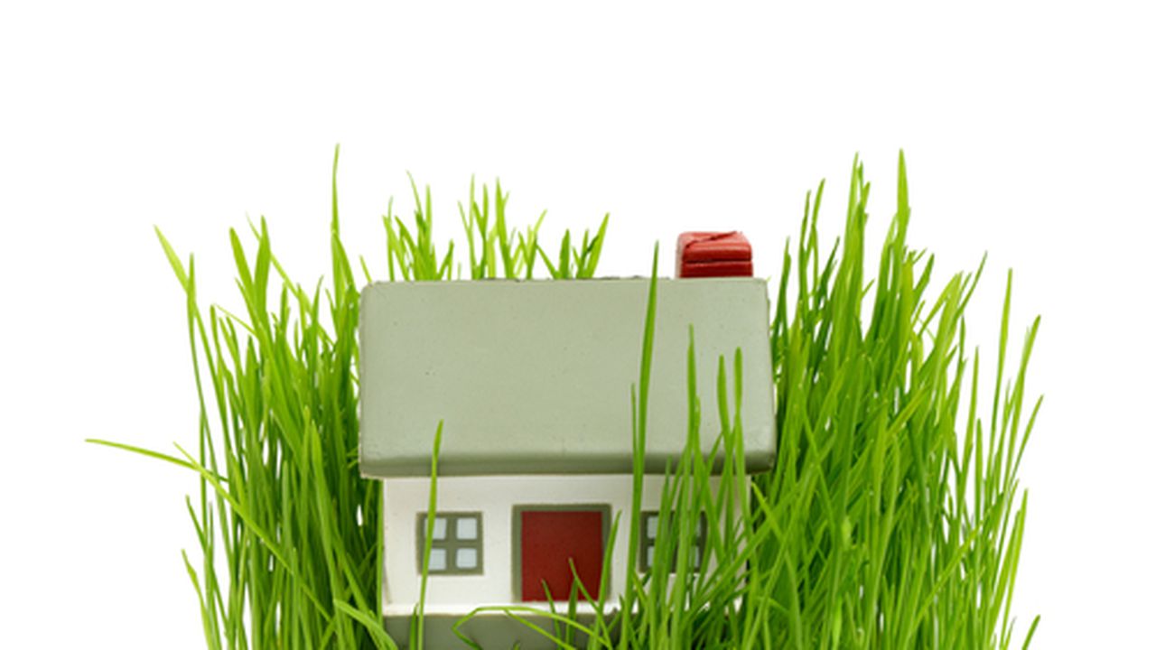 green-house-in-grass_04743400