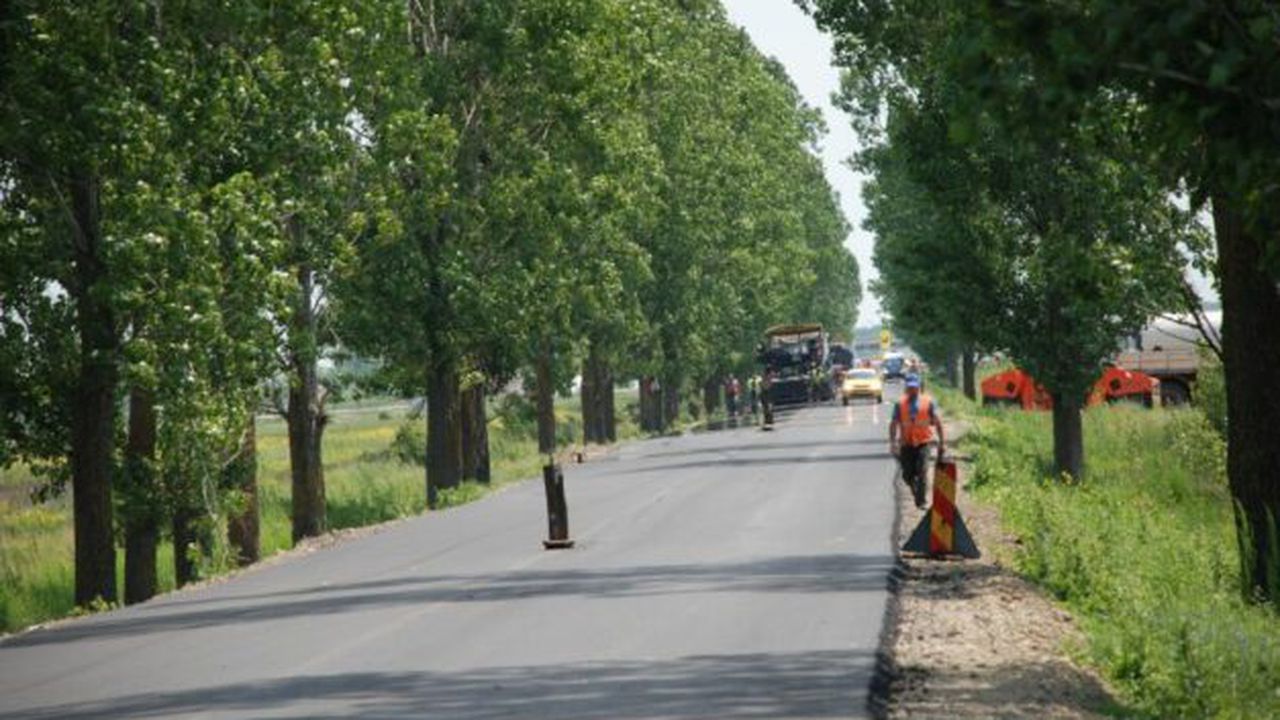 drumulsudului_71336600