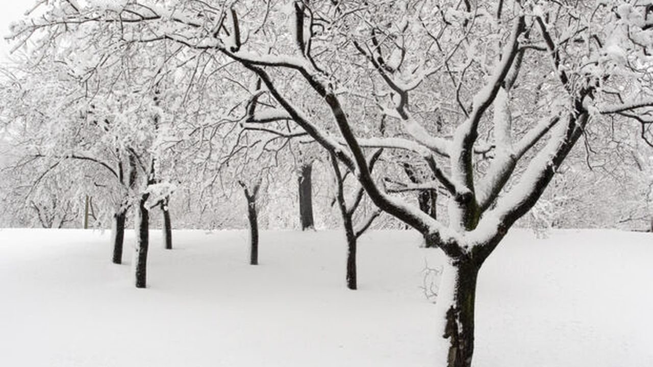 76780939-enlhjzg7-snowing30d0704056902_53192800