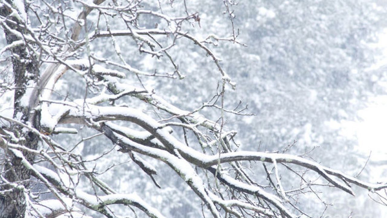 snowing-thomas-r-fletcher_58315400