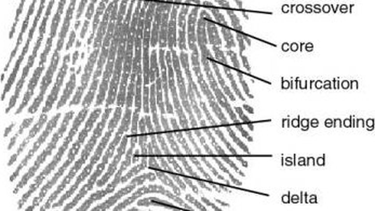fingerprint_56825900