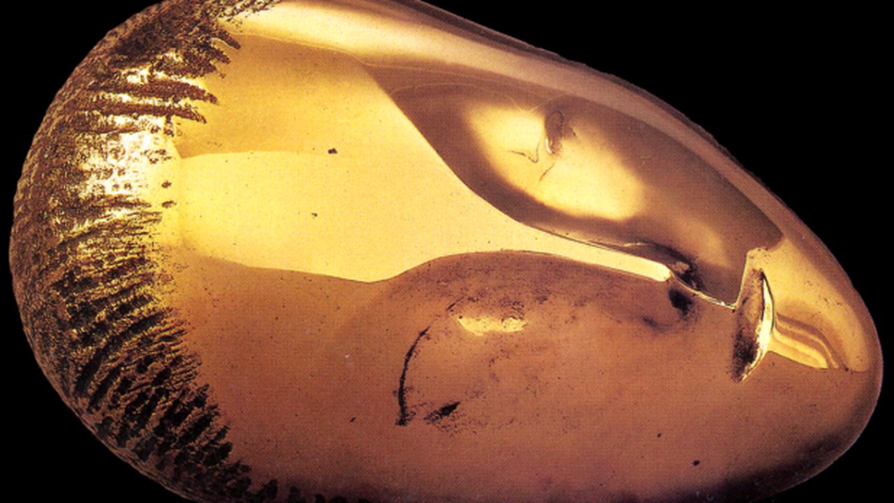 constantin_brancusi___muse_endormie_1910_fd_noir_08908600