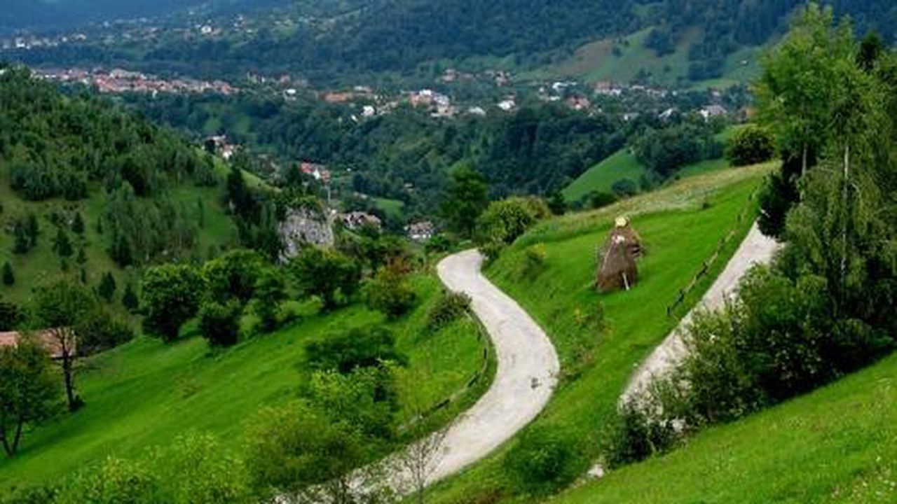 moeciu_de_jos_99960500