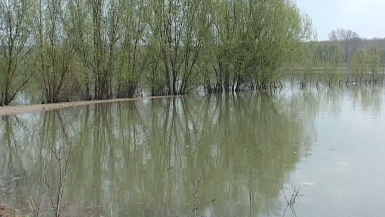 inundatii_01414500