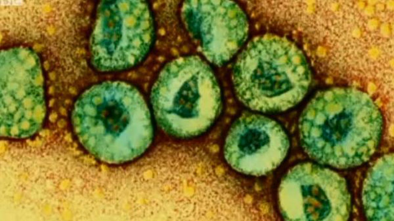 mers_virus_05717300