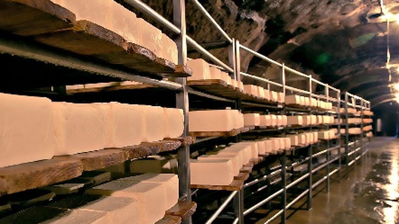 napolact_inchis_fabrica_de_la_taga_unde_se_facea_branza_de_nasal1368530175_55020800