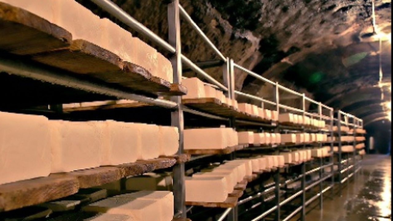 napolact_inchis_fabrica_de_la_taga_unde_se_facea_branza_de_nasal1368530175_55020800_86361500