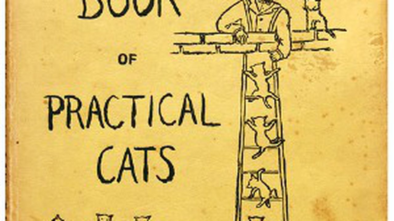 bookofpracticalcats_32710300