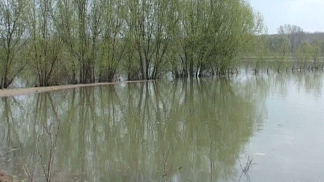 inundatii_01414500_56389200