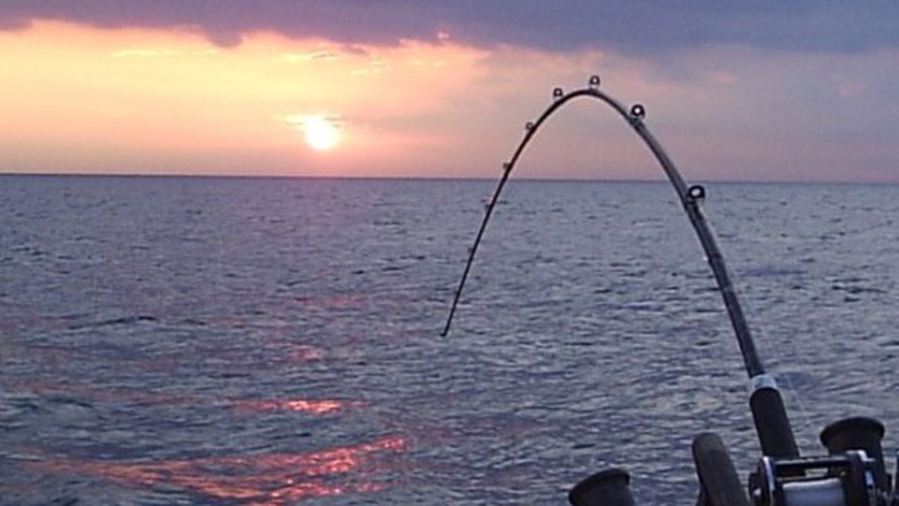 pescuit_jpg_19542400