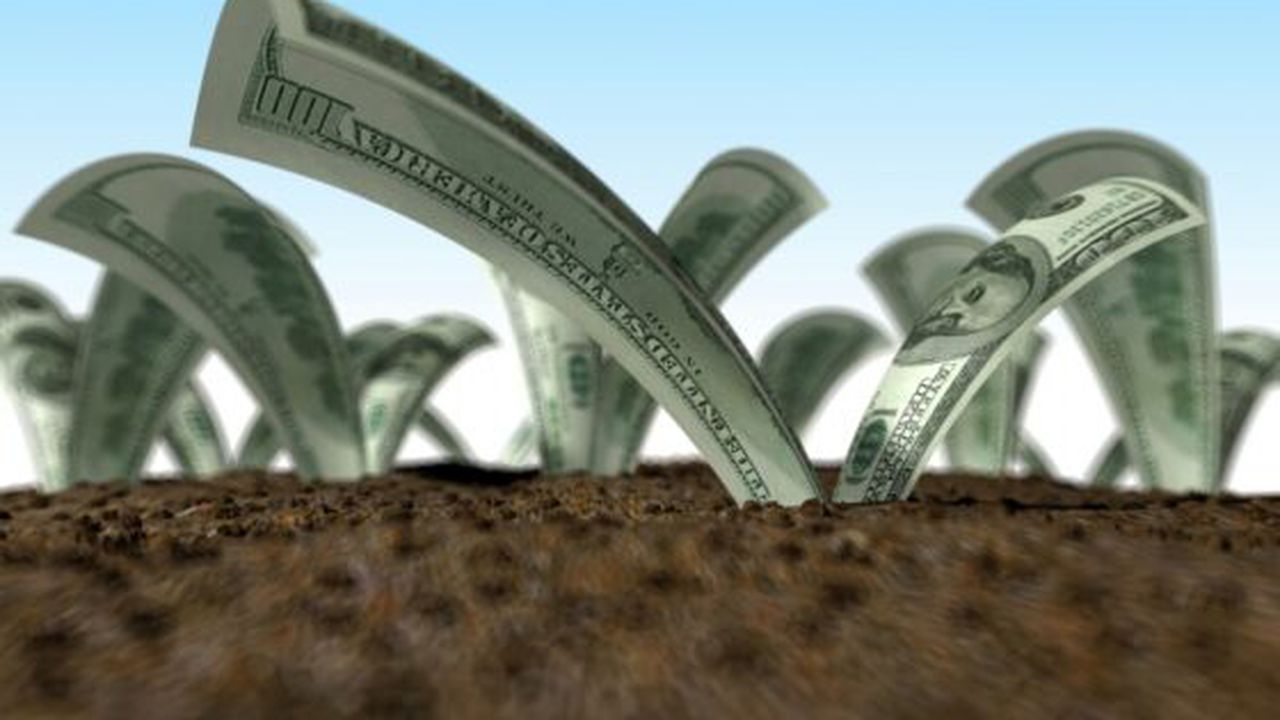 bani_agricultura_50992200