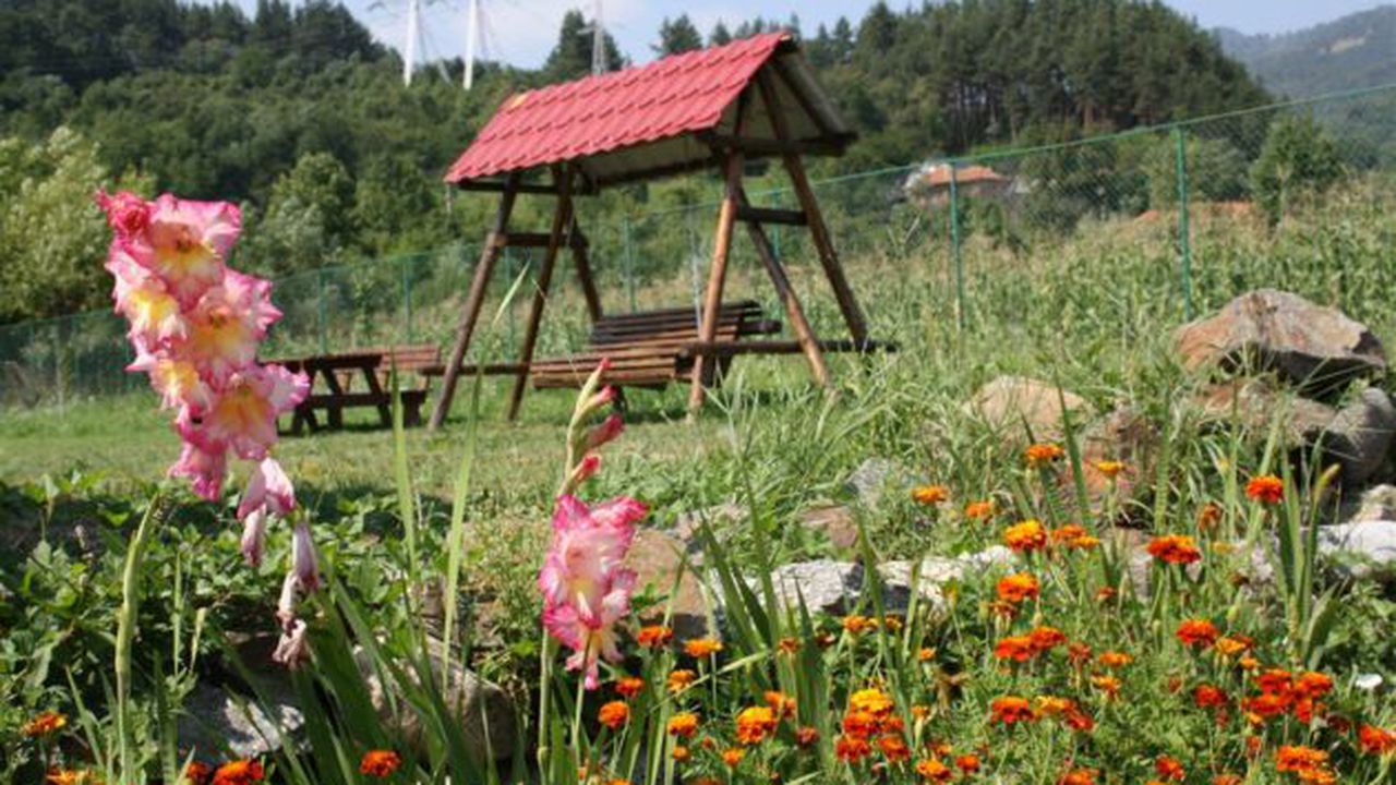 pensiunea_dor_munte_arefu_99498200