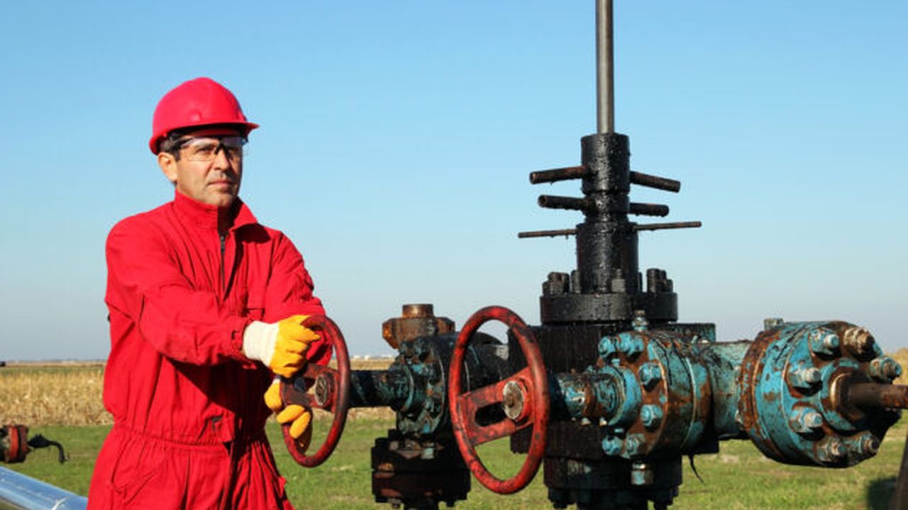 shutterstock_120894709_15063600