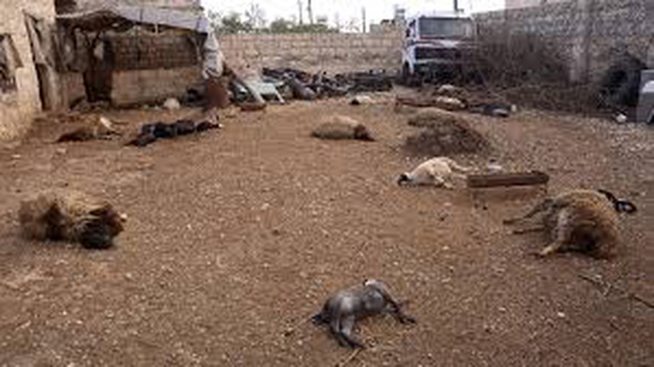 arma_chimica_21584900