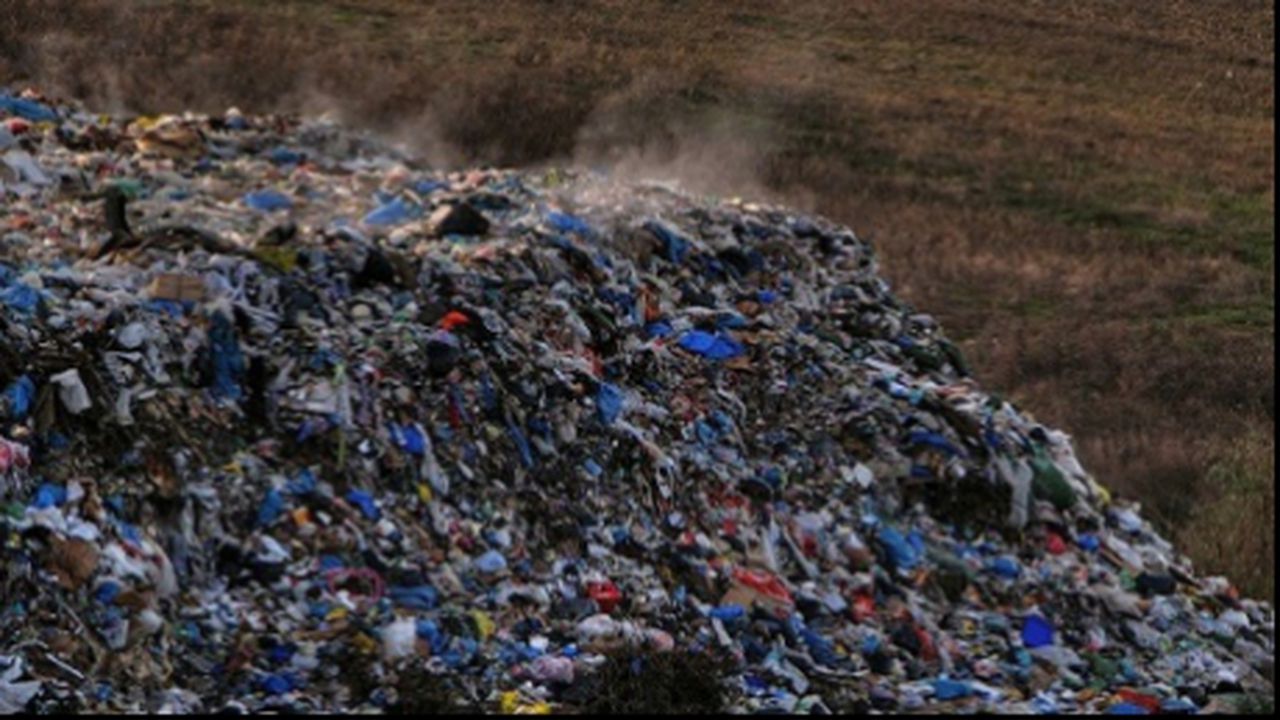 deseuri_suedia__57087000_69911400_02303800