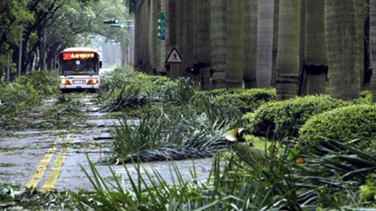 taifun_80565900_10346200