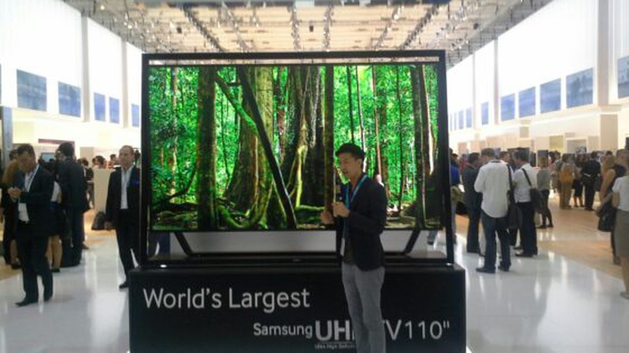 20130905_124518_resized_16623100