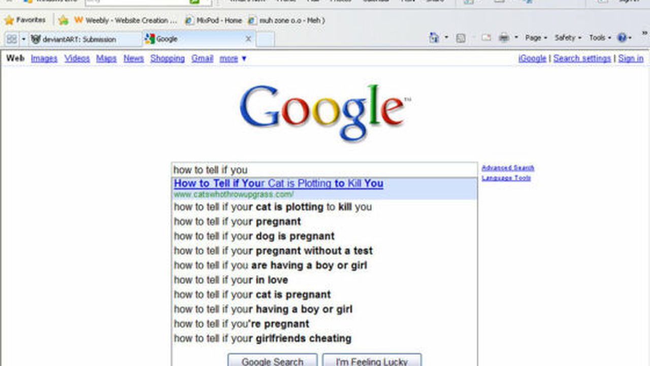 google_search___cat_fail_by_dewdle_bug_56977000