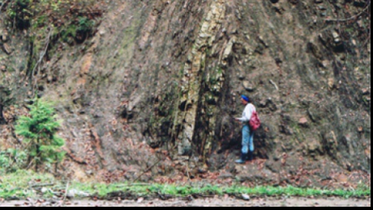 prospectiuni_86355900_83205800_12611600_28155200