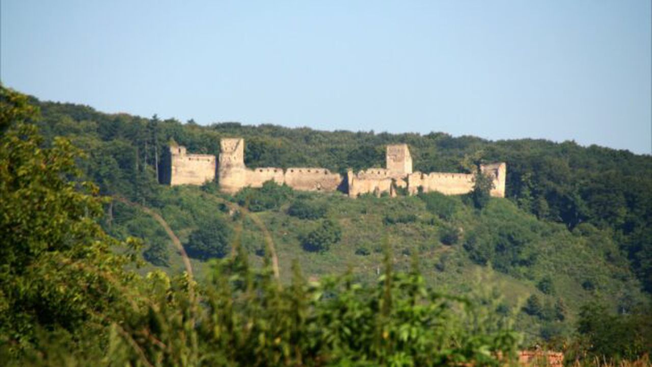 cetate_saschiz_23454300