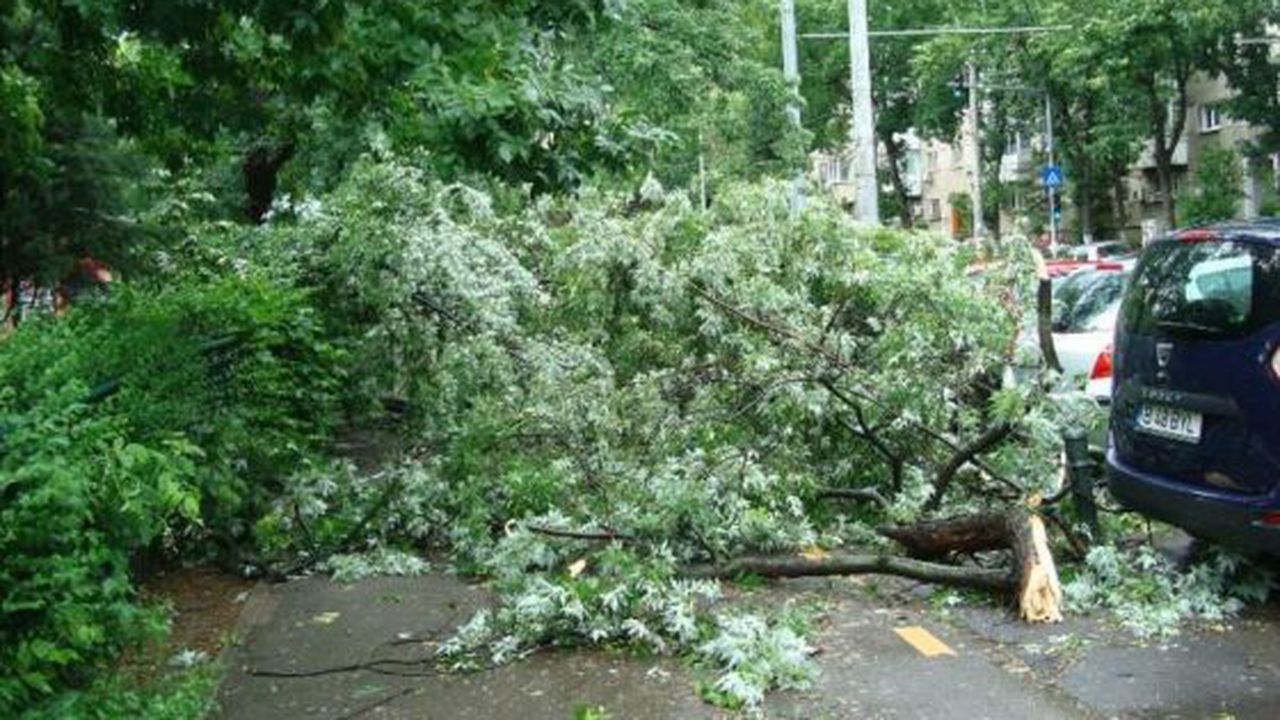 dsc01570_34cf2a4974_34926300