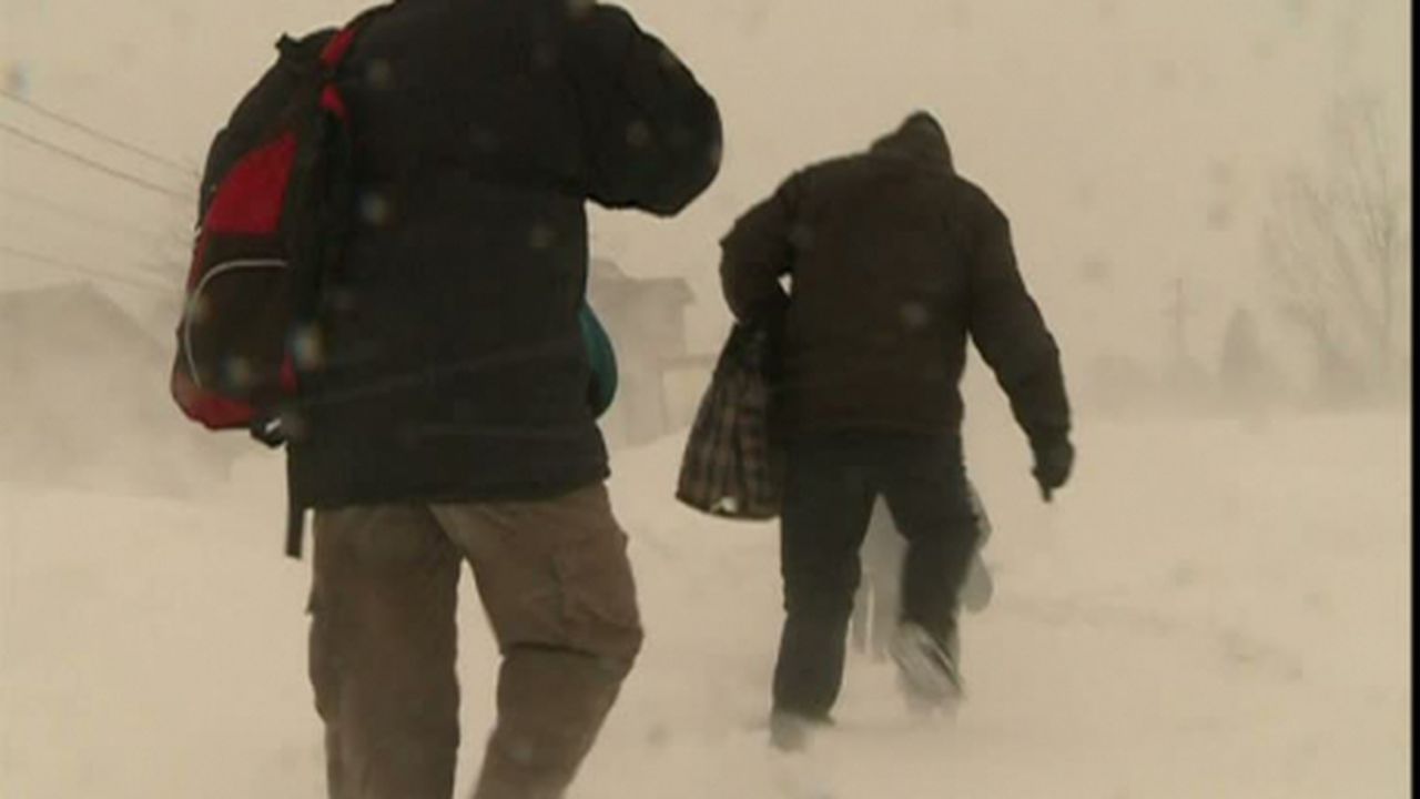 viscol_46526800_25909400