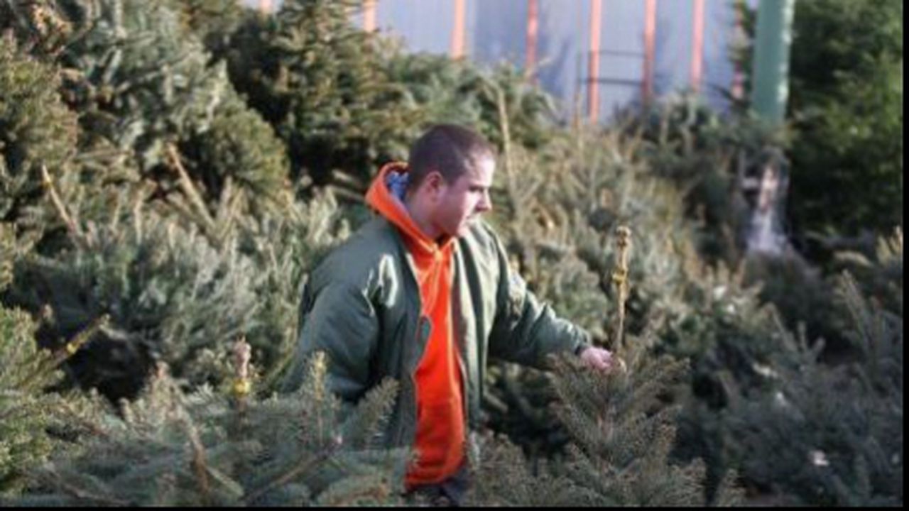 brazi_77959500_30919700