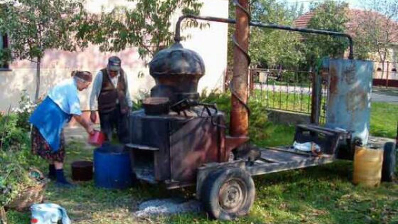 cazan_tuica_novo_milosevo_46045900