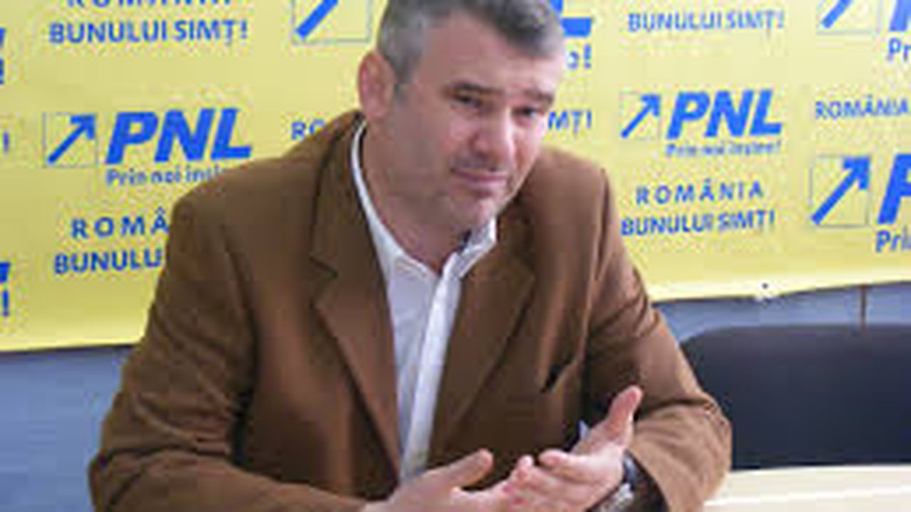 gigel_stirbu_11717900