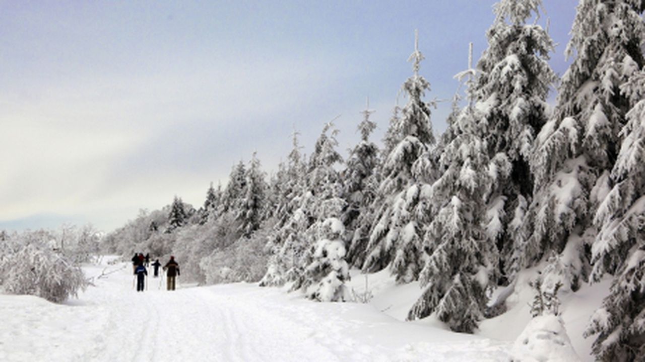 hepta_851628_91701200_75687100