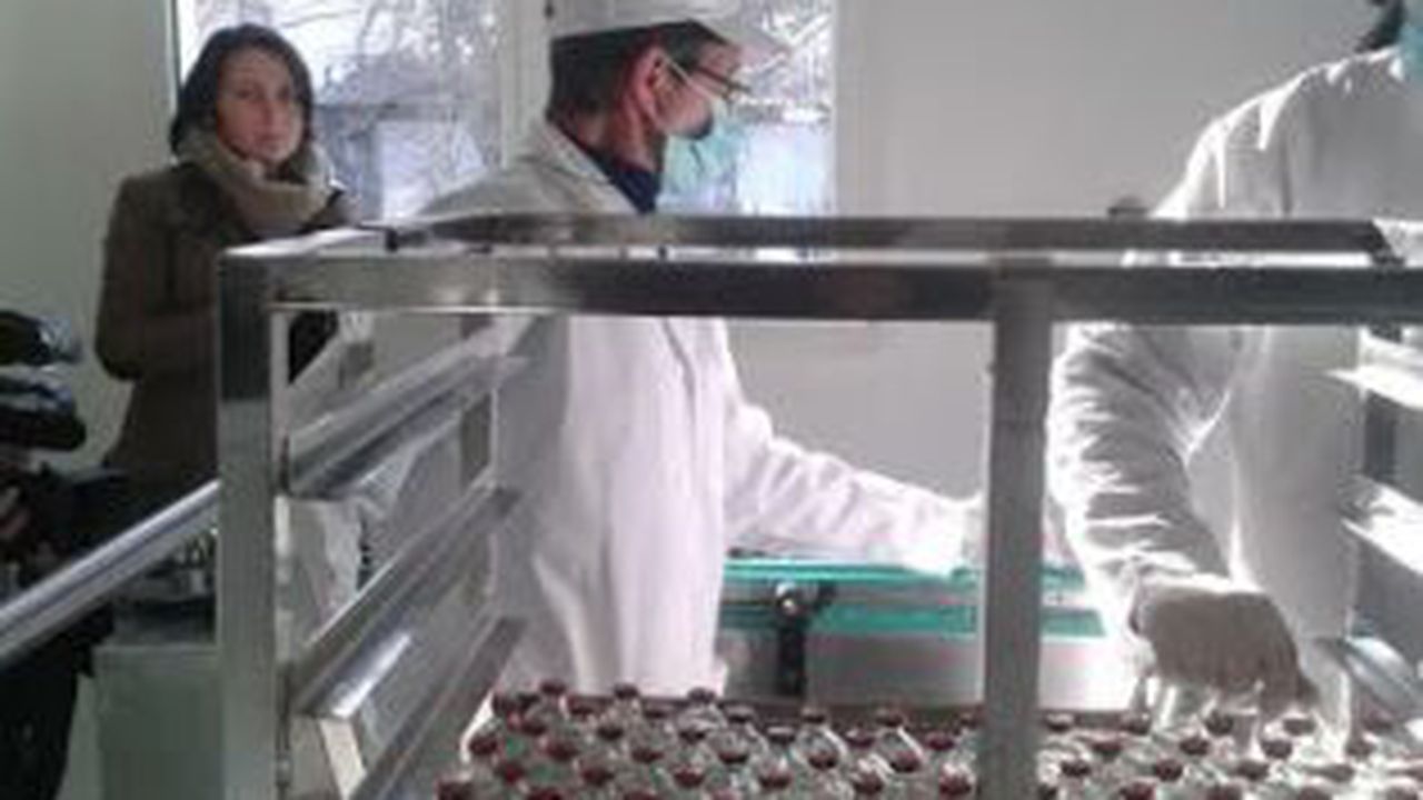 laborator_romvac_91522300