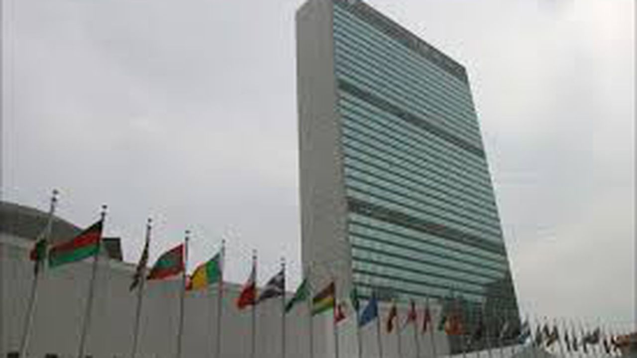 organizatia_natiunilor_unite_00509500