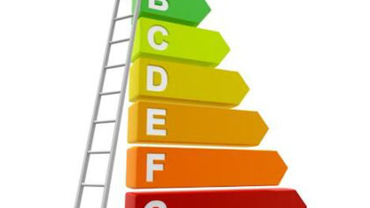 poza_tradeville_84744300