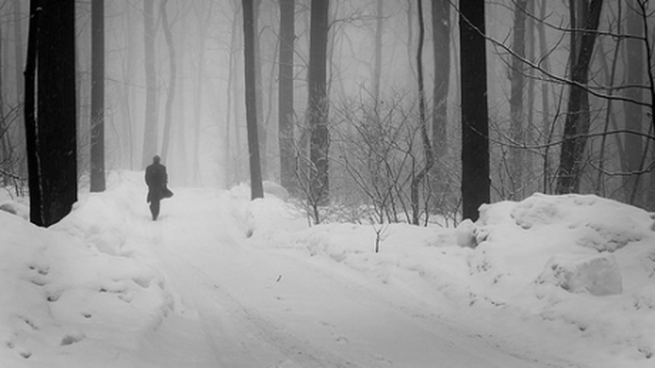 padure_zapada_29096000