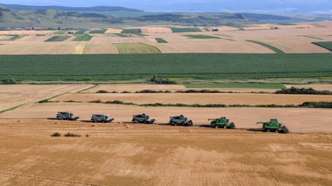 agricultura_80343500