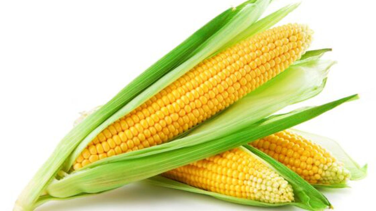 cq5dam_web_1280_1280_17962500