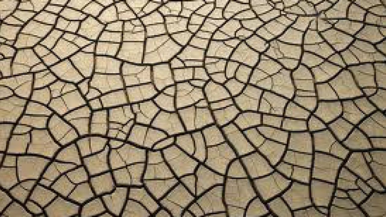 seceta_13079700_15451300