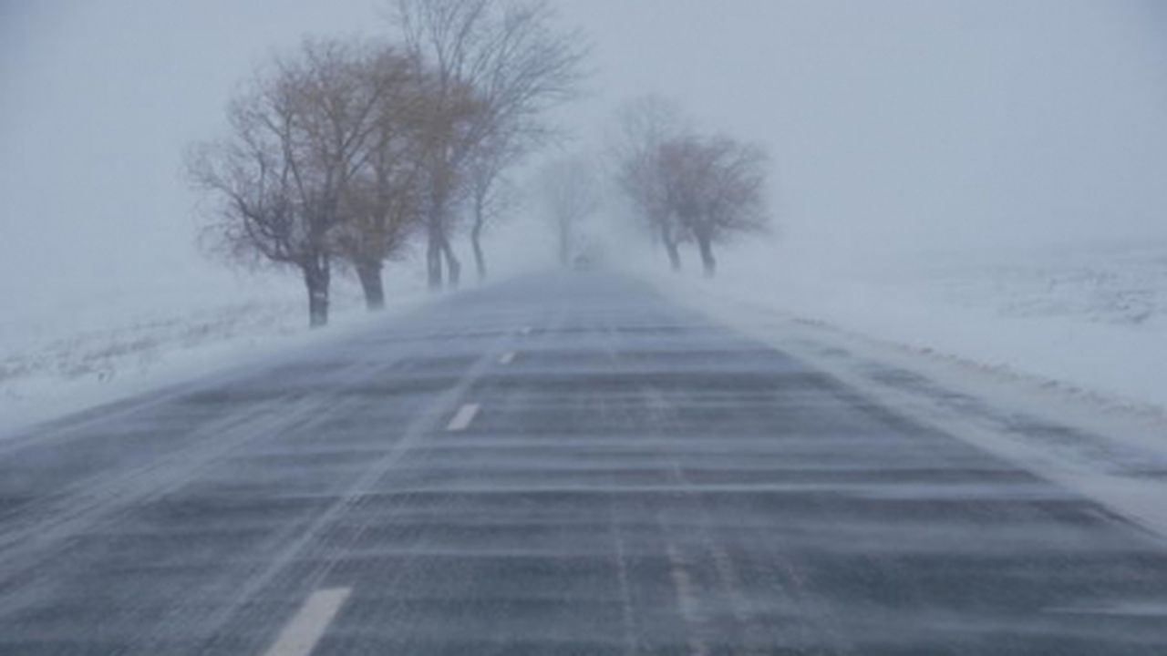 viscol_42029200_67789000